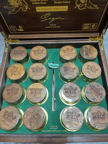 Whole Melts Havana Edition | Premium Cannabis Extracts | Whole Melt